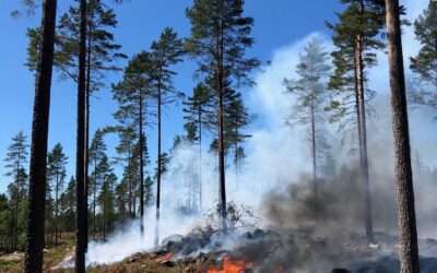 Skogsbrand på Oppunda häradsallmänning