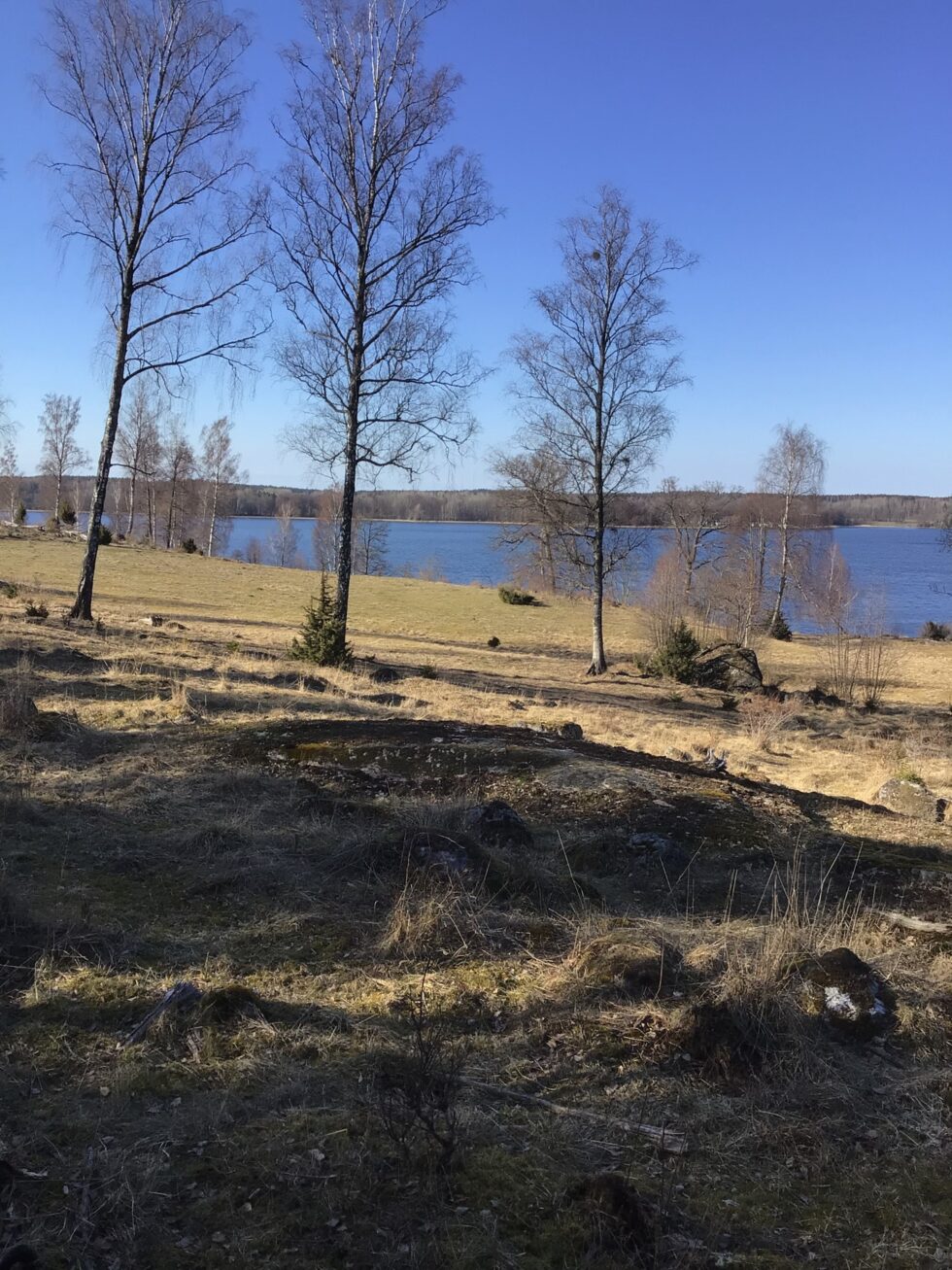 Sandvikshage-foto-5-980x1307