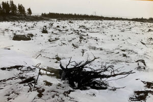 Brand-1973-Grimsten-3