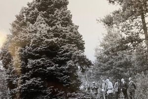 Gran-Asker-Exkusion-1977