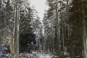 Haggumstorp-1971-Grimsten Haggumstorp-1971-Grimsten