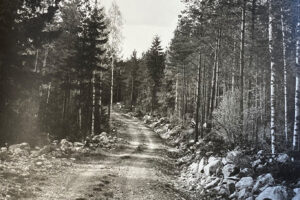 vag-Oster-Rekarne vag-Oster-Rekarne